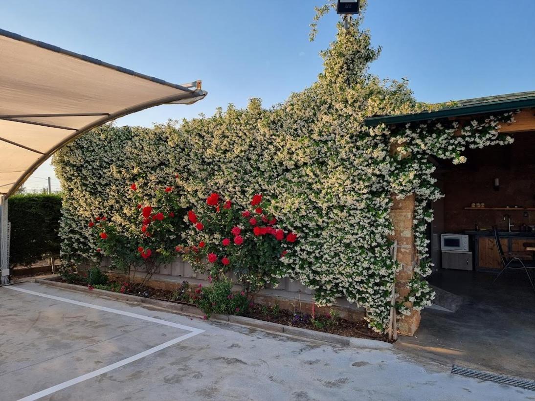 Villas Mamas Beach Agios Mamas  Exterior photo